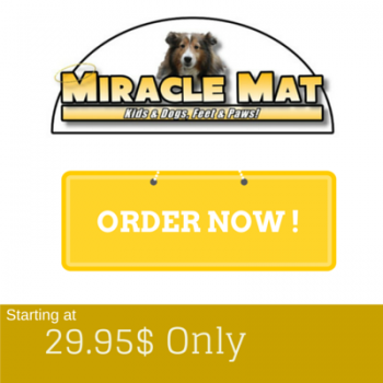 Miracle Mat, Miracle Mats, Welcome Mats, Dog Mat, Dirty Dog Mats, Home Mats, Door Mats, Asseenontv ,asseenontvguy,As Seen On Tv Product